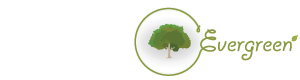 Evergreen - Development & Support